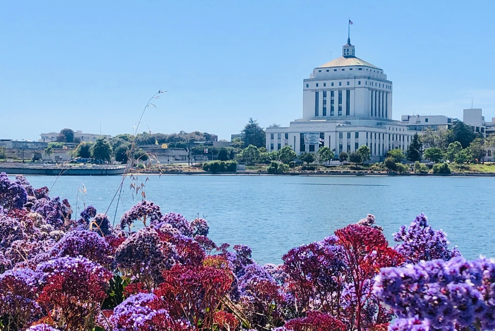 Exploring Oakland's Hidden Gems: Top Attractions and Activities for Every Adventurer